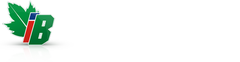 Developer IB